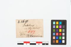 Etikett zu Bronzeknotenarmreif (NHMW-PRAE-025650)